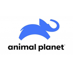 Animal Planet