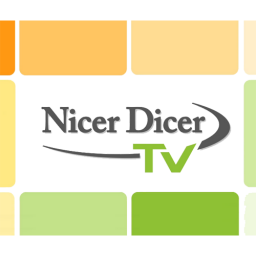 Nicer Dicer TV